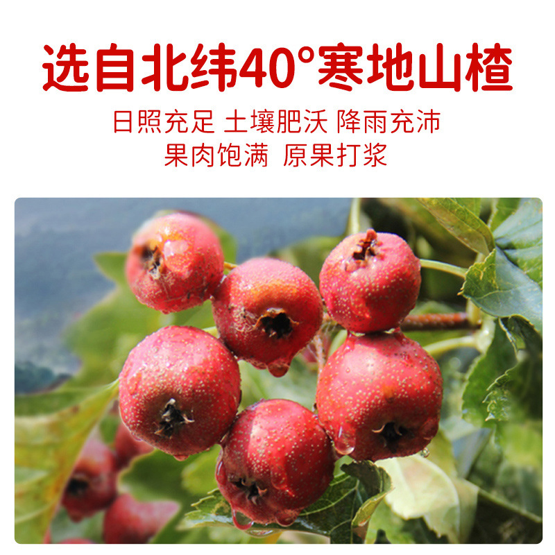 Guangsheng Mini Hawthorn Cake Independent Small Packaging Snacks Hawthorn Pudding Bulk Weighing Northeast Leisure Manufacturer Wholesale