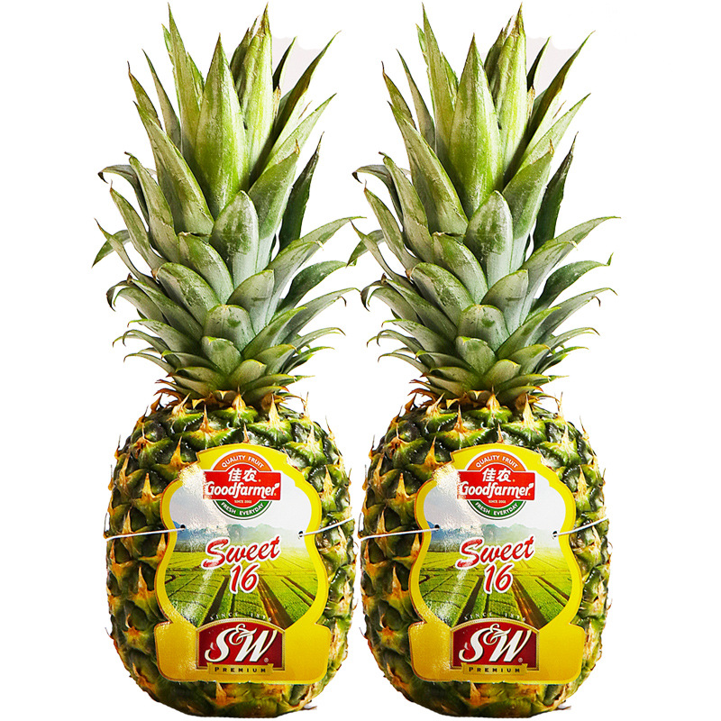 Goodfarmer Pineapple Fruit Fresh 2 Large Fruits Peeled and Ready to Eat Sw Philippine Imported Golden Pineapple Fruit Free Shipping
