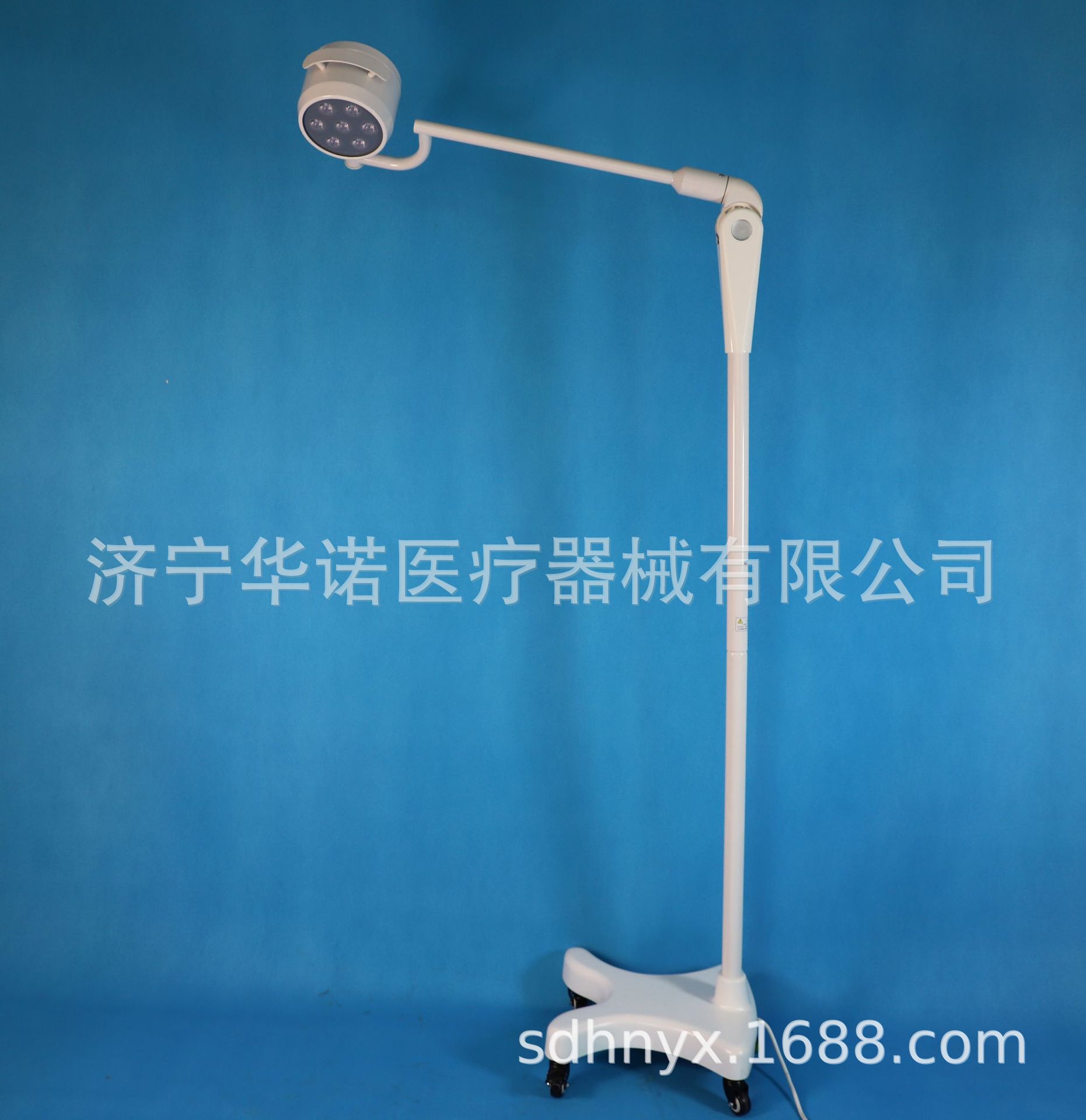 Beauty Lamp, Oral Lamp, Surgical Lamp, Inspection Lamp, Gynecological Mobile Lamp, Pet Lamp, Outpatient Surgical Lamp, Emergency Department Lamp