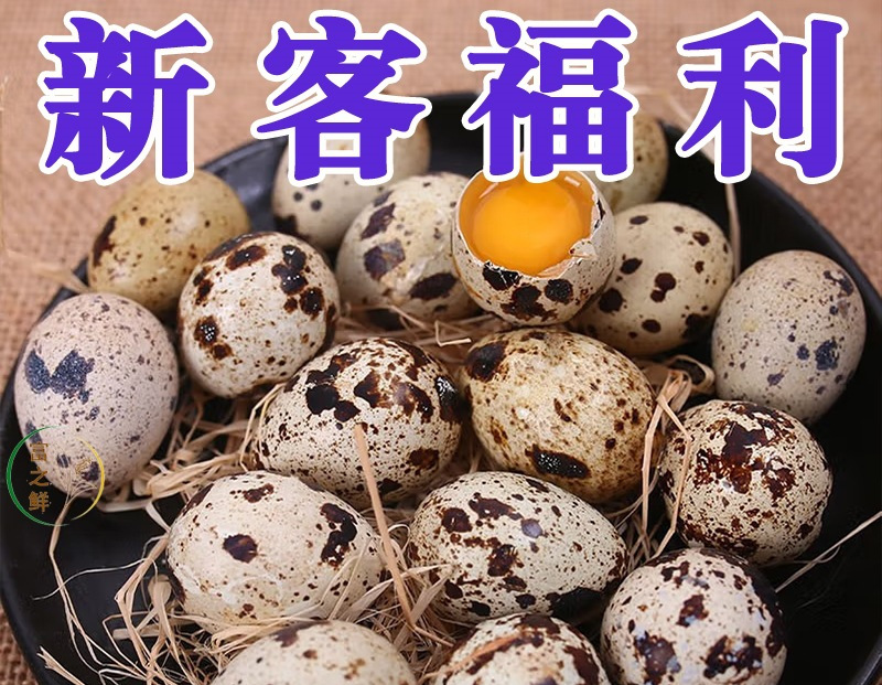 Свежие яйца перепелов и многозерновое кормление, 100 штук, собранные и отправленные сейчас, богаты питательными веществами и деликатным вкусом