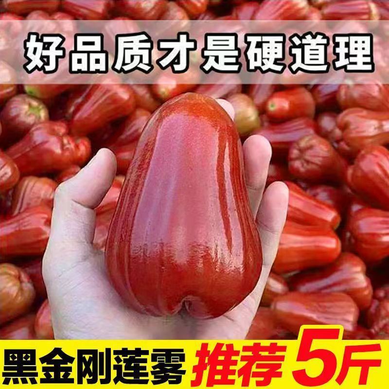 Sf Express Hainan Black King Kong Lotus Mist Authentic Lotus Mist Fruit Seasonal Freshly Picked Tropical Fruit Mist Lotus Fruit Whole Box