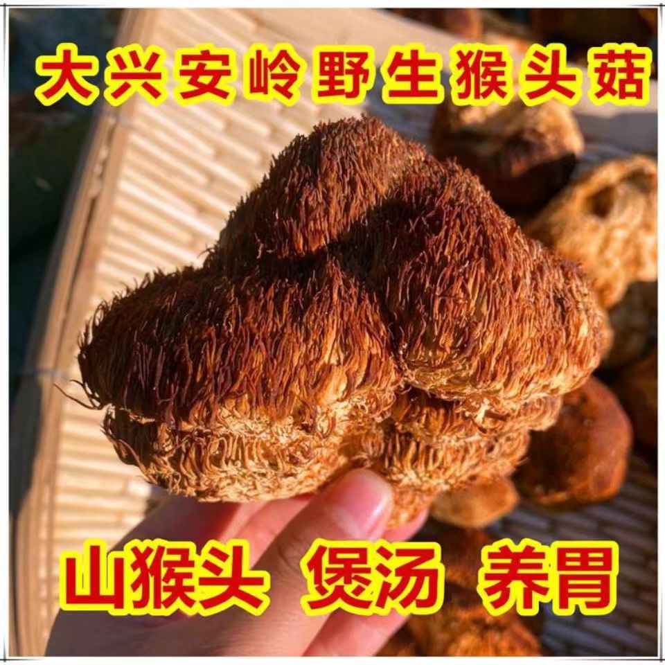 Новые товары, 500г, сушеный гриб Hericium, без серы