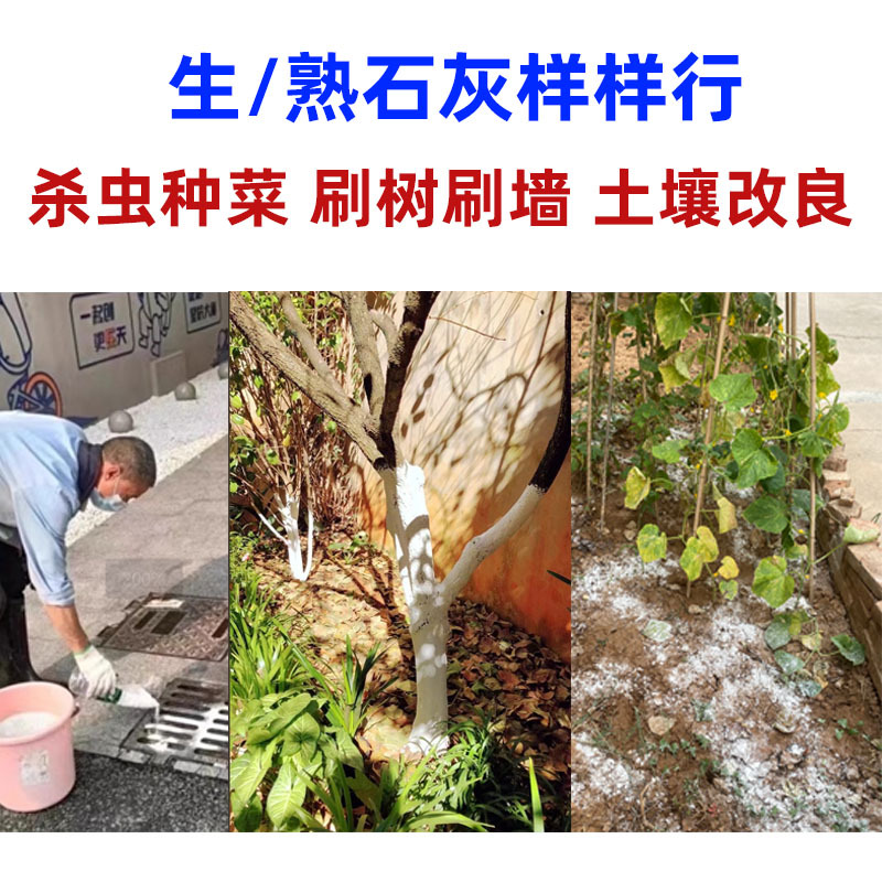 Growing Vegetables, Insecticide, Quicklime Powder, Aquaculture, Agricultural Soil Improvement, Fish Pond Disinfection and Sterilization, High Purity Quicklime