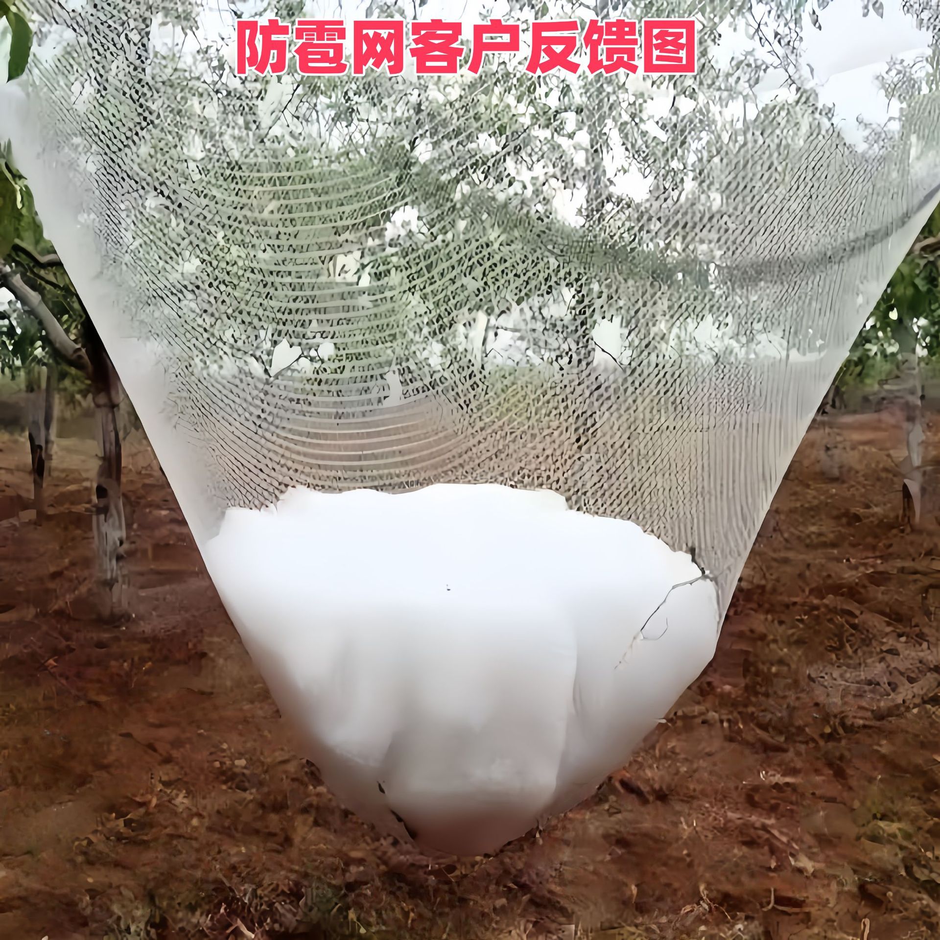 Anti-Hail Net Orchard Anti-Bird Net Grape Net Agricultural Protective Net Fruit Tree Anti-Hail Net Orchard Anti-Hail Net Anti-Aging