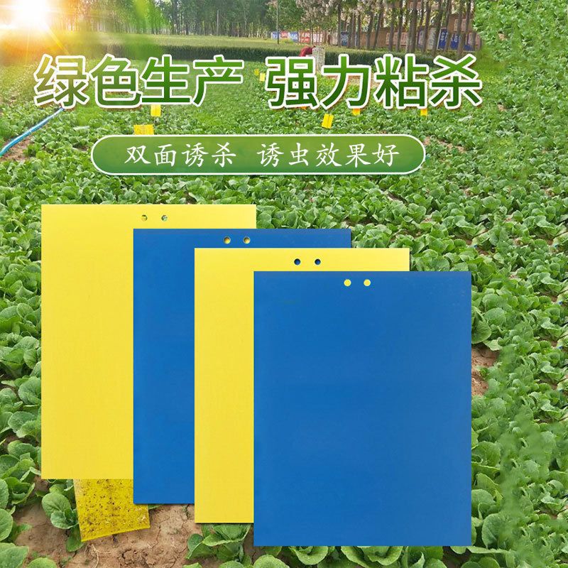 Двусторонняя ловушка для насекомых, желтая и синяя ловушка