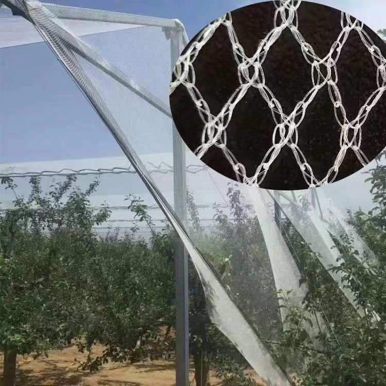 Anti-Hail Net, Orchard Anti-Insect and Anti-Bird Net, Hail Net, Small Eye Net, Orchard Fruit Tree Anti-Falling Leaf Anti-Hail Net
