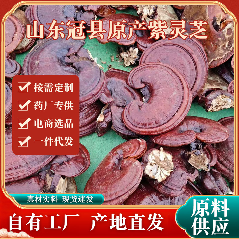 Superfine Purple Ganoderma Whole Bitter Red Ganoderma Extra Fine Powder Ganoderma lucidum Diced Ganoderma lucidum Pieces Gift Box Boiling Water Soup Natural