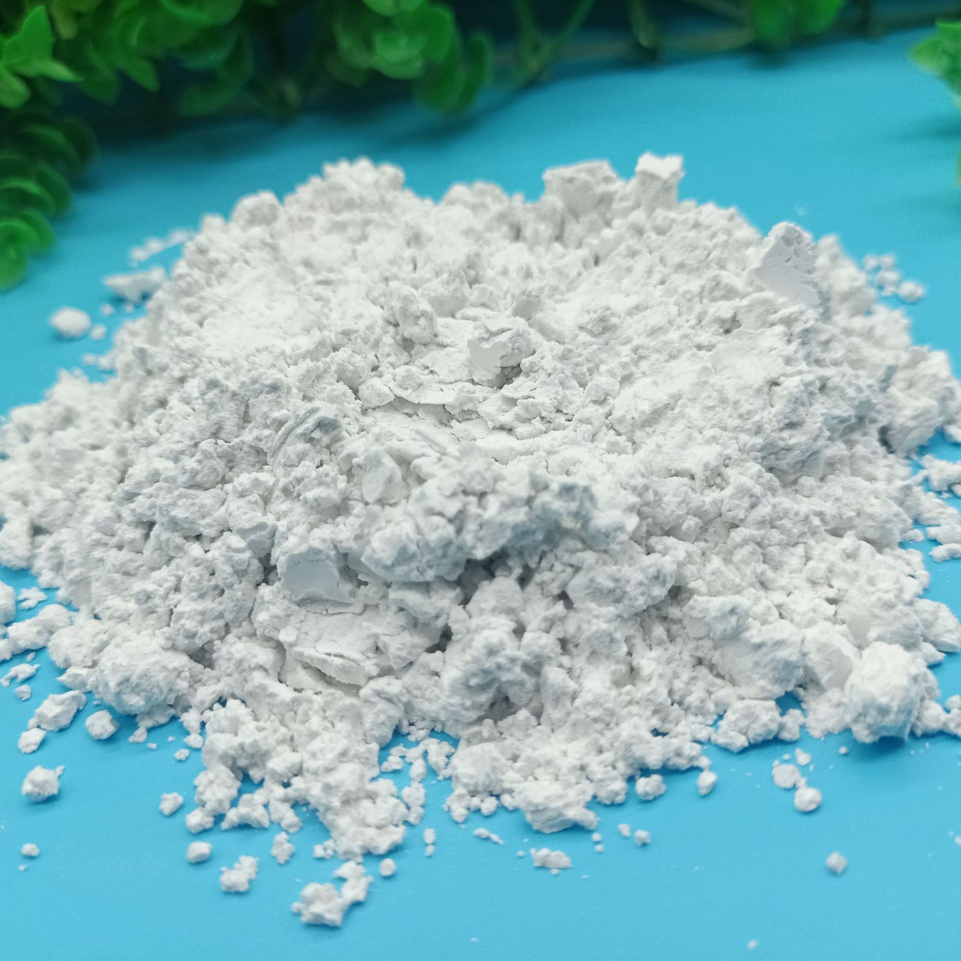 Factory Wholesale White Diatomaceous Earth Paint Paint Filter Aid Diatomaceous Earth Powder Industrial Adsorbent for Sewage Treatment