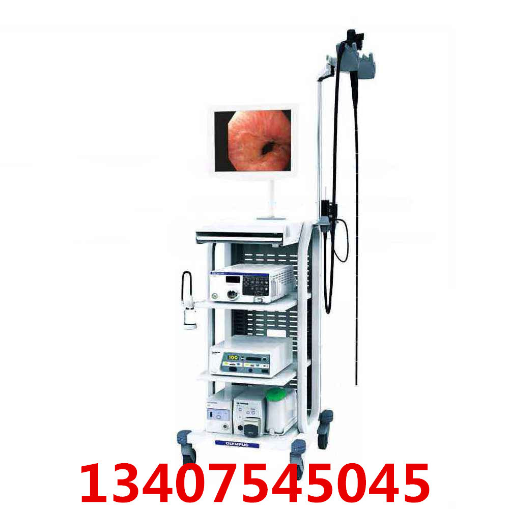 Olympus endoscope video image processing device CV-170