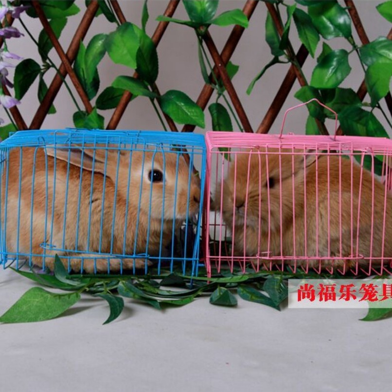 Small rabbit cage transport cage large pillow cage small pillow cage express transport cage bird cage pigeon cage ferrule stall cage