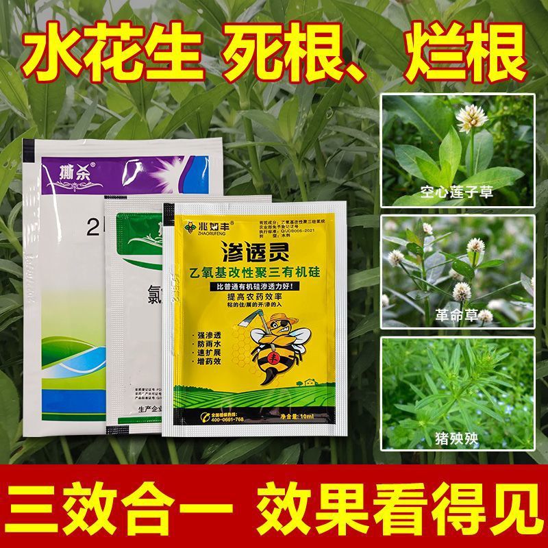 Special Herbicide for Removing Water Hyacinth Roots, Specifically Designed for Eliminating Weeds and Killing Revolution Grass