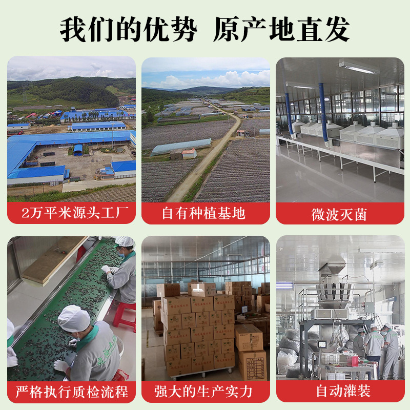 Hericium Erinaceus Manufacturer Dongning 500g Dried Mushroom Northeast Specialty Hericium Erinaceus Wholesale Bagged Fresh