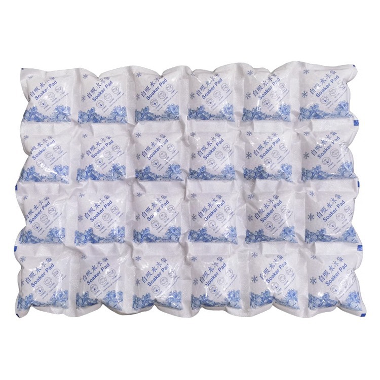Water-Free Self-Absorbing Aviation Ice Bag Food Seafood Fruit Preservation Refrigeration Express Special Frozen Repeated Ice Bag