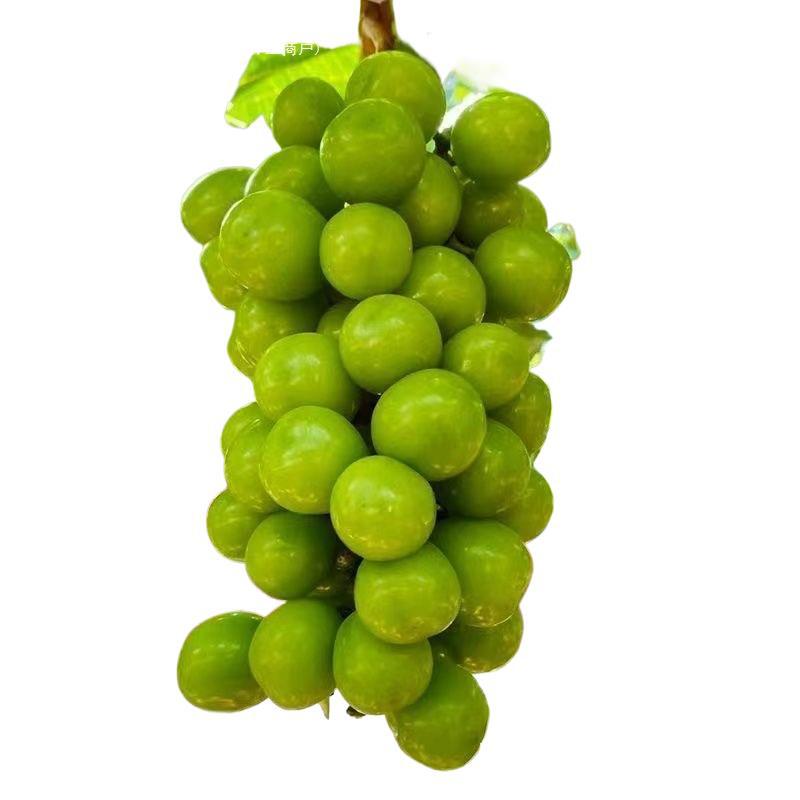 Sunshine Rose Grape Qingwang Fresh Grape Granules Delivered Seedless Seasonal Fruit Free Shipping Wholesale Green Grapes