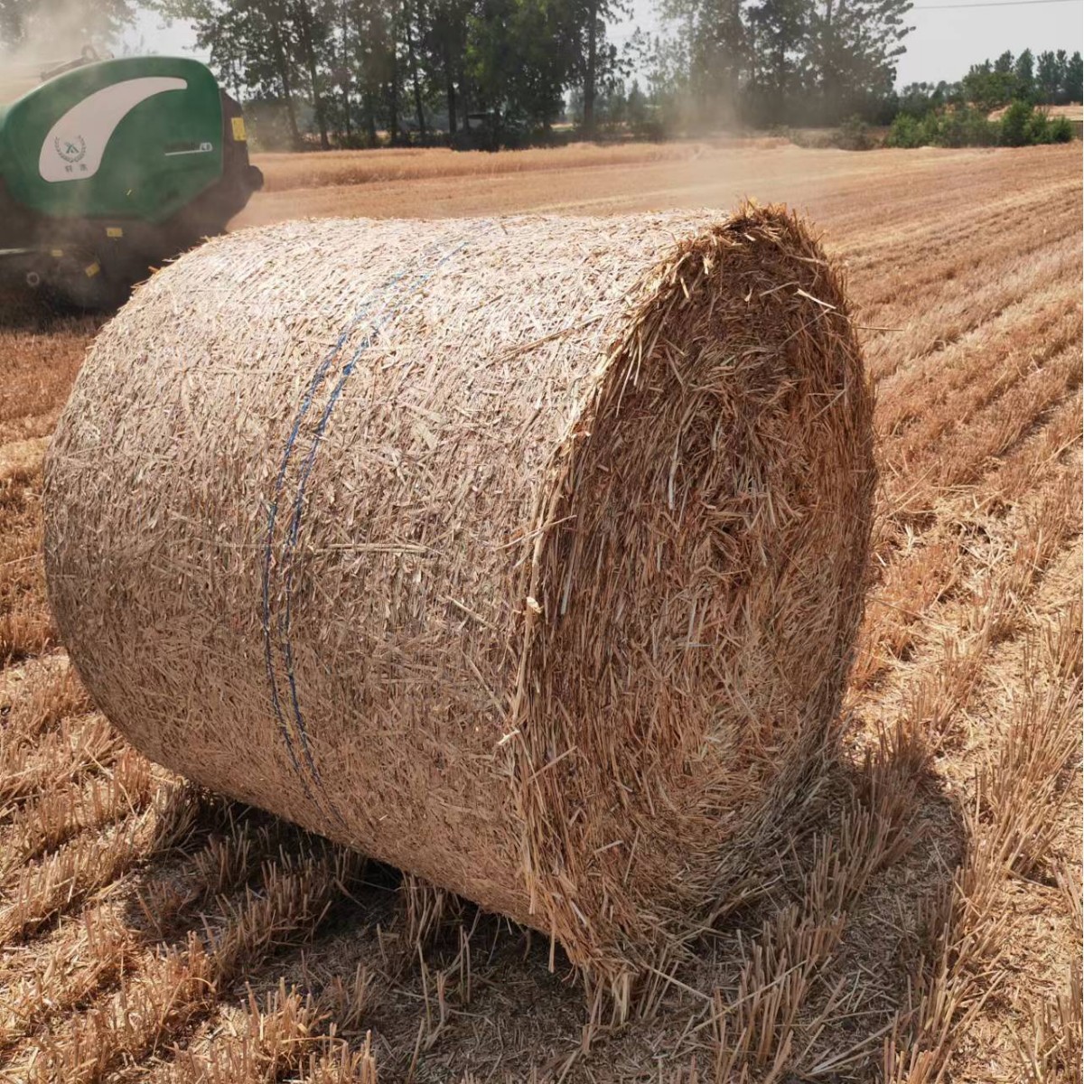 Bundled grass net plastic stretch packaging pallet net new material anti-aging tension large forage packaging does not fry small square bales