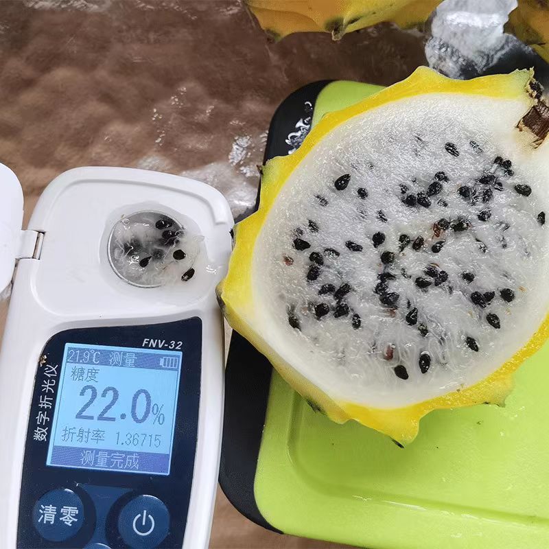 Hainan Bird's Nest Fruit 3//4/ 2.5kg Kirin Fruit Dragon Fruit Sf Express Free Shipping One-Piece Dropshipping Golden Kirin