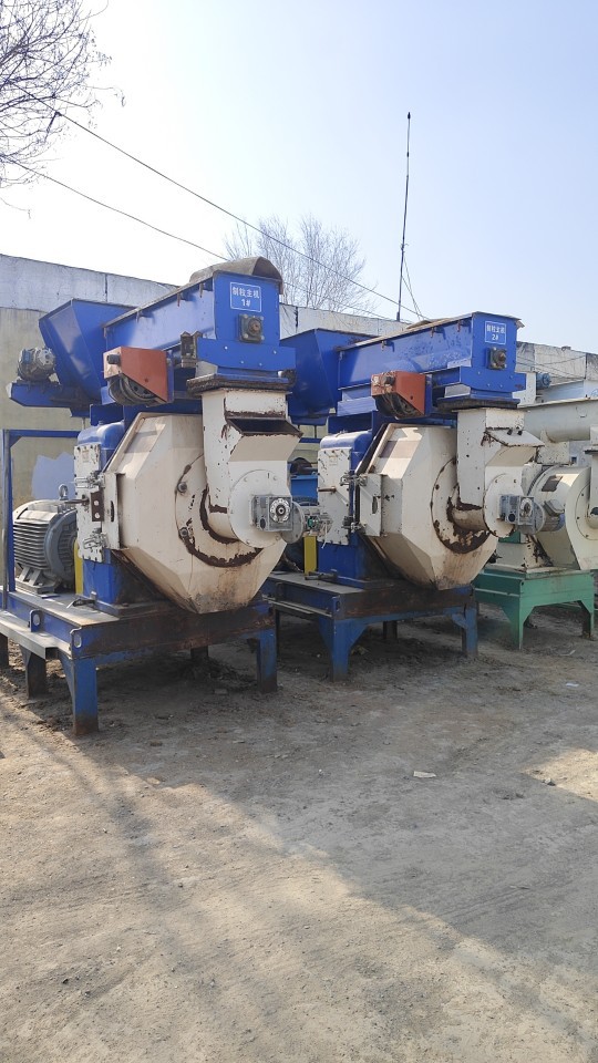 Biomass Pellet Pelletizing Machine Wood Sawdust Pellet Production Line Equipment Household Garbage Granulator