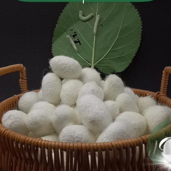 Коконы шелкопряда, самоподдерживающиеся, полностью высушенные, которые можно использовать для ручной работы, выставки, двойные коконы, коконы шелковицы