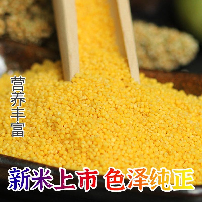 Northeast Xiaomi 2.5kg Wholesale New Xiaomi Farmhouse Golden Xiaomi Porridge Xiaomi Porridge Whole Grains Can Be Delivered