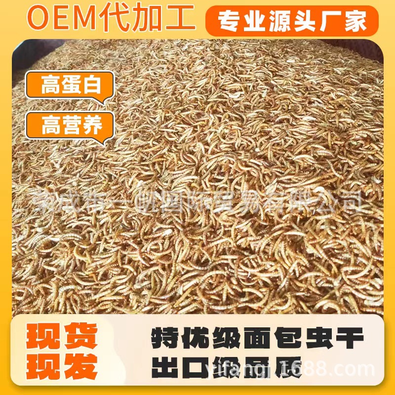 Wholesale Mealworms, Dried Yellow Mealworms, Direct from the Manufacturer, Pet Food, Hamster Snacks, Fish Food, Cat Food, Turtle Food