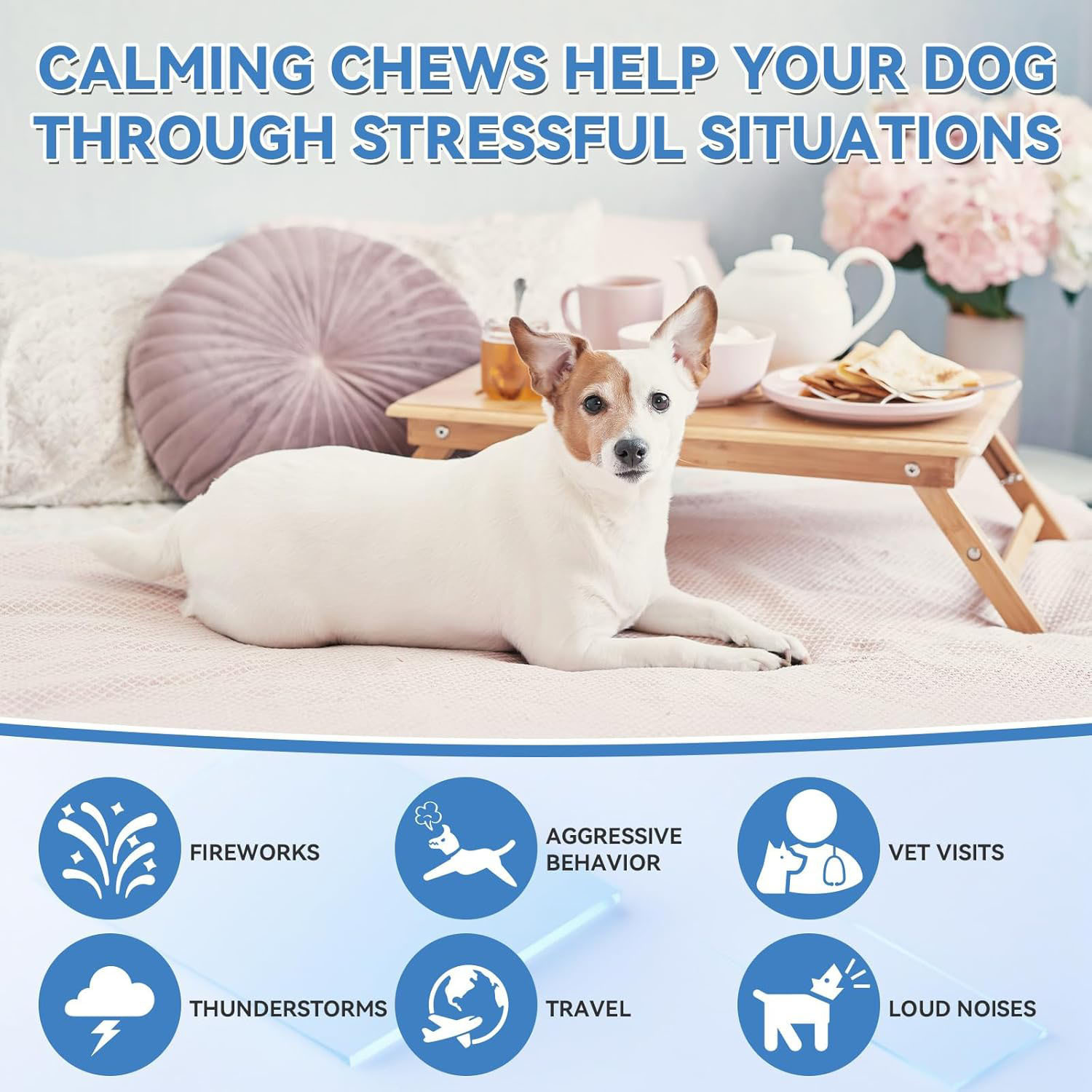 OEM Cross-border Pet Calm Chewable Tablets Dog Calm Supplement Soothing Emotional Soft Chew Source Factory