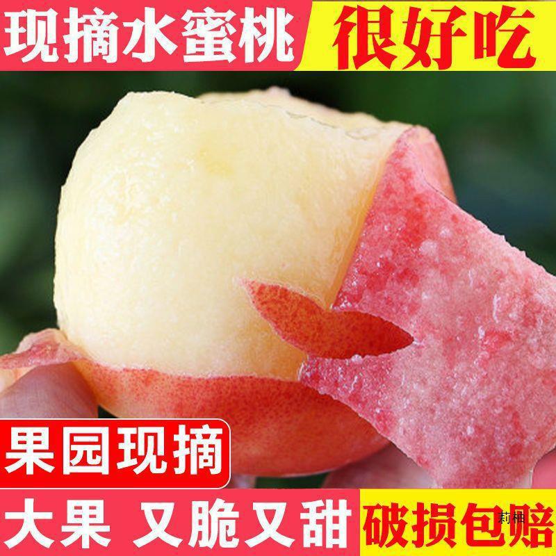 Shandong Qingzhou Honey Peach, Crisp Peach, Hard Peach, Fresh Peach, Hairy Peach, Sweet Peach, Green Peach, Hard Peach, Crispy Sweet Peach for Pregnant Women