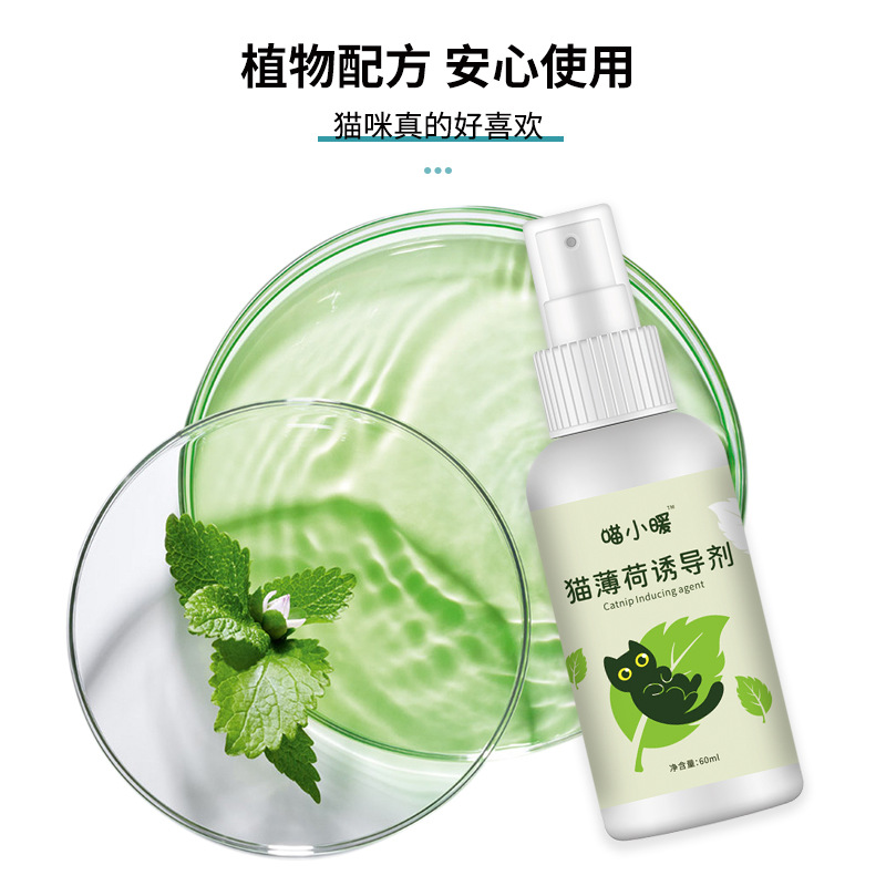 Catnip Spray Cat Toy Inducer Cat Happy Water Funny Cat Spray Catnip Spray Manufacturer Wholesale
