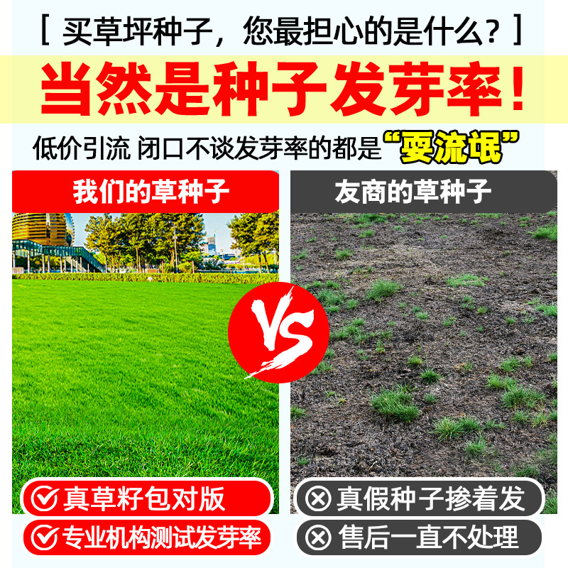 Bentgrass Grass Seeds Taiwan Lawn All Year Round Evergreen Courtyard Engineering Slope Protection Grass Perennial Green Turf Seeds