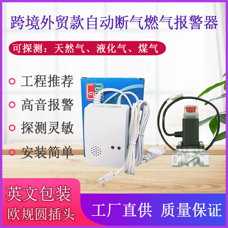 Foreign Trade European Standard English Model Household Independent Gas Alarm Natural Gas Liquefied Gas Leak Detector