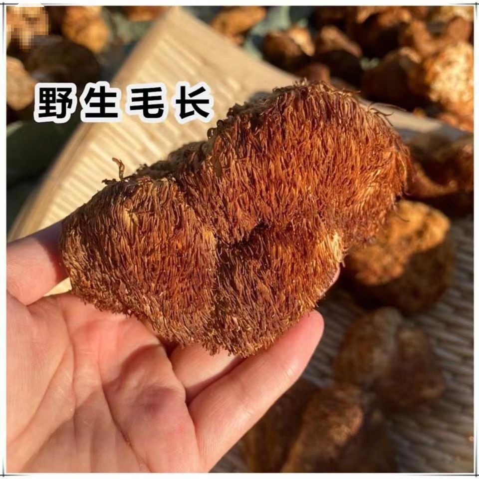 New Goods Daxinganling Deep Mountain Hericium erinaceus Dry Goods New Northeast Specialty Wild Hericium erinaceus Sulfur-free Smoked