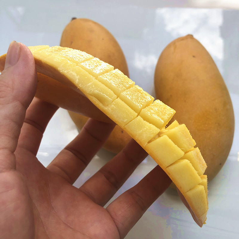 Fruit Mango Honey Mango with Yellow Skin, Not from Guangxi Baise, with a Rich Milky Aroma, Freshly Picked, Golden Color, Sugar Content 27
