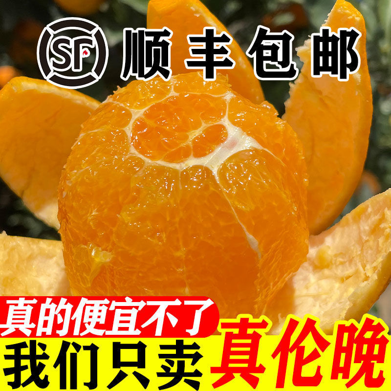 Sf Express Color Box Authentic Late Season Navel Oranges Fresh Sweet Navel Oranges Whole Box Wholesale Thin Skin One Piece Free Shipping