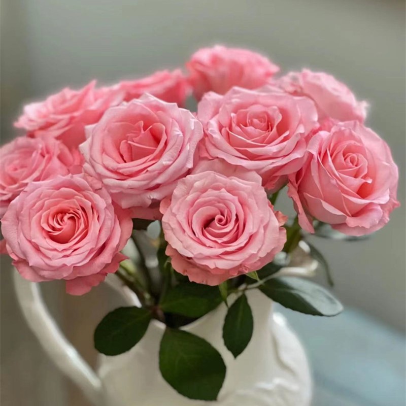 Rose Flowers Wholesale Yunnan Kunming Flowers Direct Batch Real Flowers Flowers Let's Set up a Stall Together Wedding Flowers