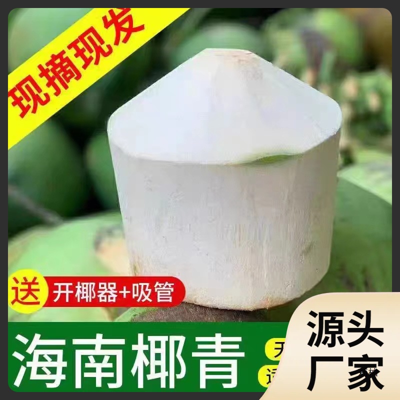 Ll Help Farmers Hainan Wenchang Coconut Green 9 Pack Fresh Coconut Pregnant Women Fruit Coconut Juice Meat Peeled Whole Box