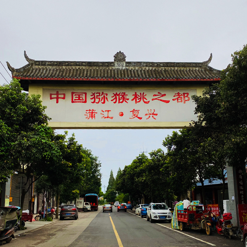 Red Heart Kiwi Fruit from Pujiang, Sichuan, for Pregnant Women, Whole Box Wholesale, Gift Box, Sweet and Fragrant