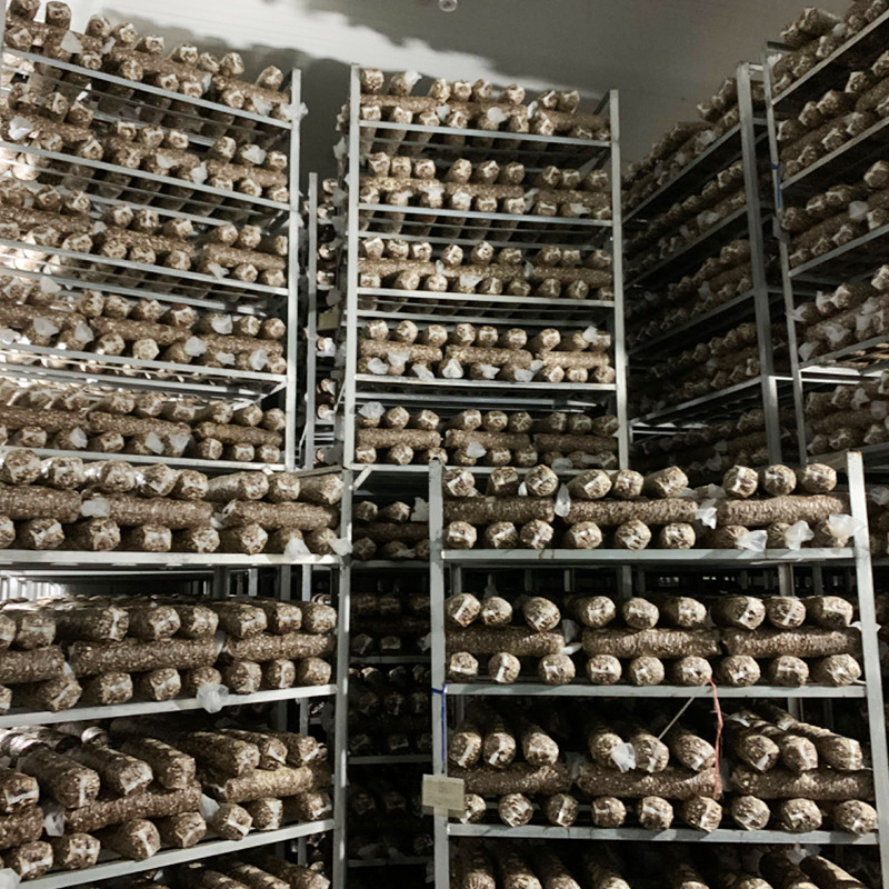 Customized Mushroom Packages for Export, Mushroom Sticks for Export Specifically to Korea, Japan, and Australia