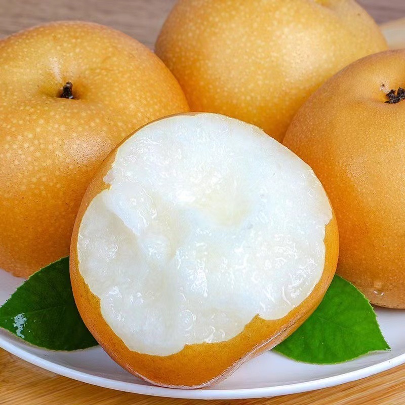 Authentic Laiyang Qiuyue Pear Gift Box Fresh Seasonal Fruit Shandong Rock Sugar Pear Whole Box Free Shipping Ready to Pick and Ship