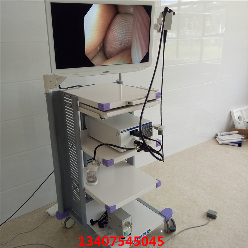 Olympus endoscope video image processing device CV-170