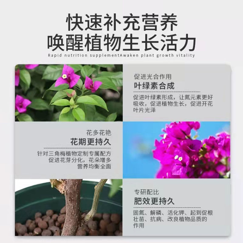 Bougainvillea special nutrient solution fertilizer for flower cultivation, flowering, leafing, flowering, flowering, popping, bone meal compound fertilizer