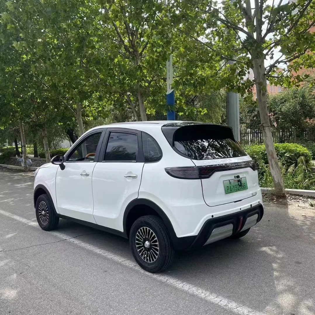 Электрический автомобиль с просторным пространством, четырехколесный электрический автомобиль, пассажирский скутер, двойное использование для масла и электричества