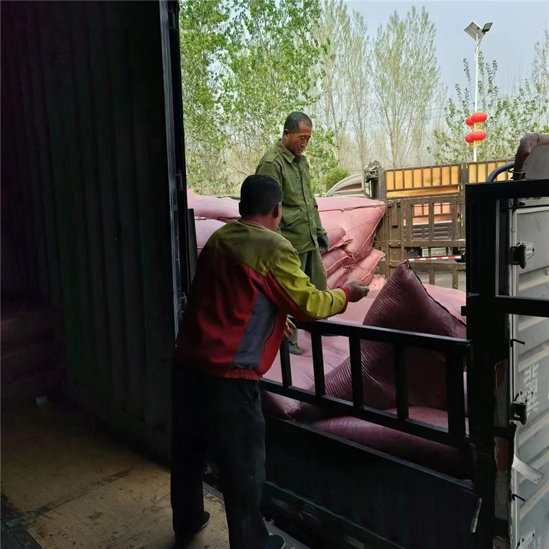 Cotton seed hulls for various greenhouse edible fungi for oil well plugging