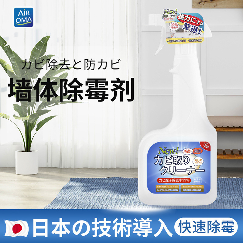 Удаление плесени с белых стен, очистка от пятен плесени и грибка