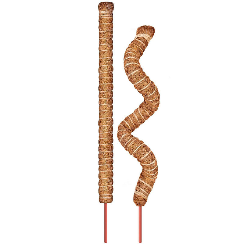 Bendable Moss Rod Plant Support Set Coconut Palm Fiber Rock Climbing Plant Stand Curved Coconut Palm Rod