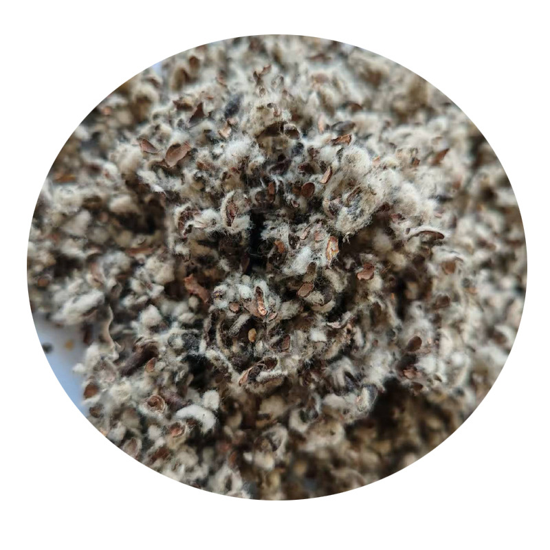 Manufacturer Processes Cottonseed Shells for Edible Fungi, Medium-Shelled Medium-Velvet Mushroom Planting Substrate Raw Material Cotton Shells