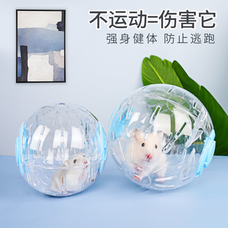 Беговой шар для хомяков, прозрачный шар для упражнений, роликовая дорожка с золотым кристаллом