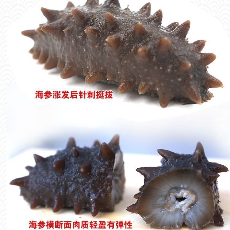 Dried Sea Cucumber Small Sea Cucumber Dried Sea Cucumber Dalian Seafood Dried Goods Small Sea You Buddha's Leap Ingredients Quick-Release Wild