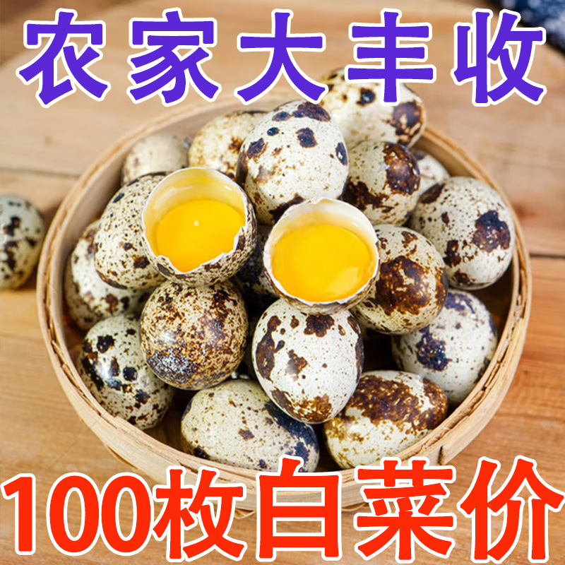 Свежие 50 яиц перепелов от птиц свободного выпаса, подходят для хот-пота и дополнительной пищи, свежесобранные и отправленные из сельской местности