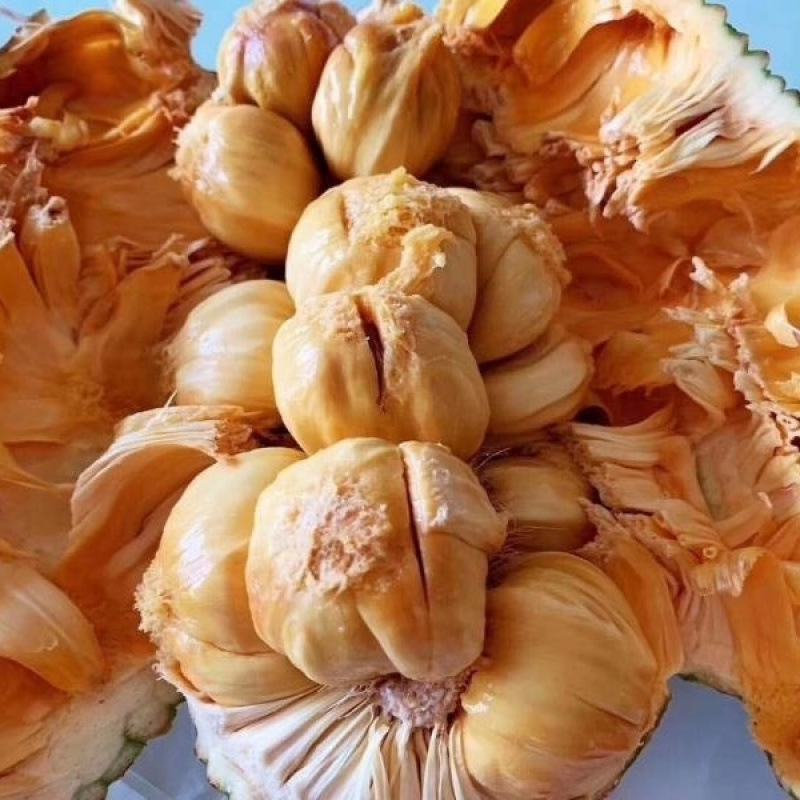 [Durian Honey Special Offer] Durian Honey Hot Seasonal Fresh Fruit Red Flesh Yellow Flesh Wet Pack Durian Honey Free Shipping