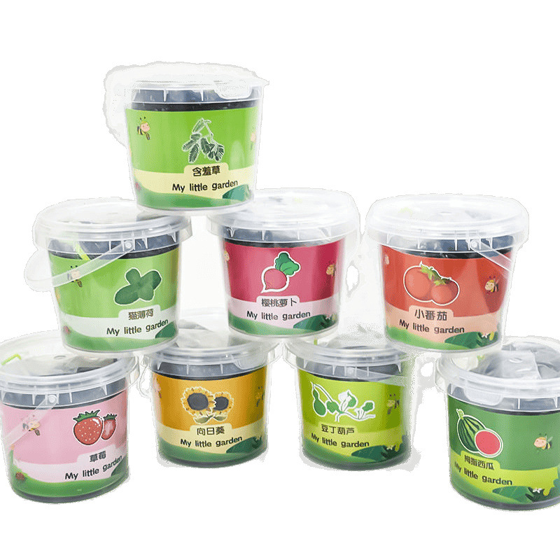 Children's Potted Plants, Creative Plants, DIY Birthday Office Balcony Sun Room, Cute Seeds Wholesale