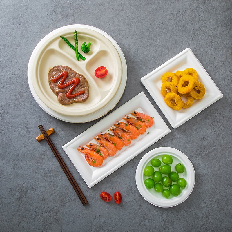 Disposable Dinner Plate Plate Commercial Picnic Paper Plate Environmentally Friendly Degradable Dish Barbecue Square Oval